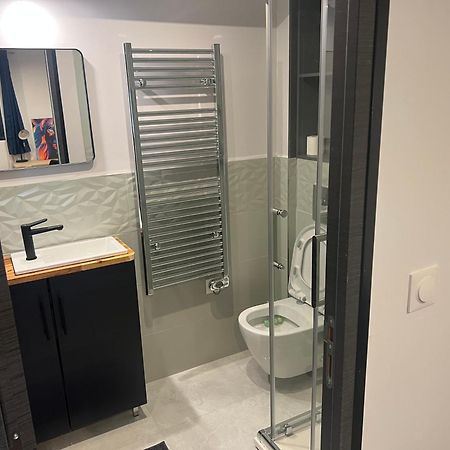 Loft Entier Nancy Centre Et Parking Appartement Buitenkant foto